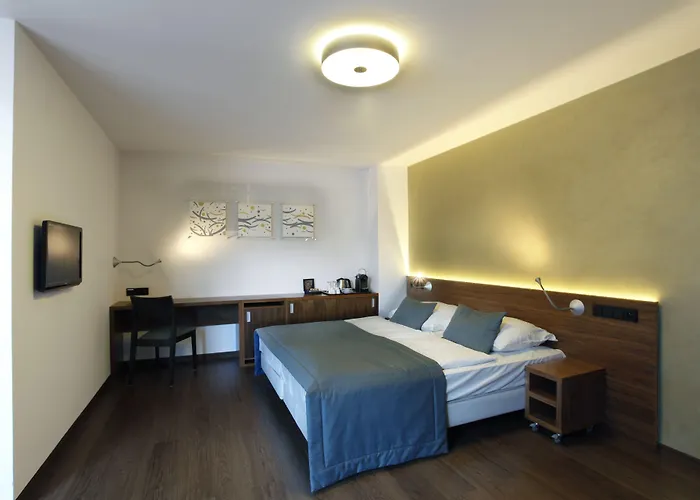 Hotel Carol