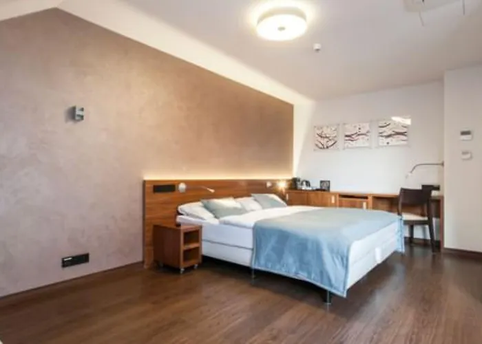 Hotel Carol 4*