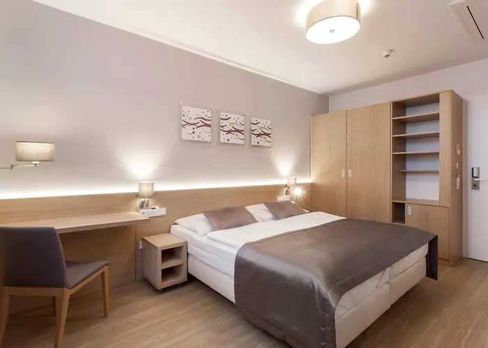 Hotel Carol 4*