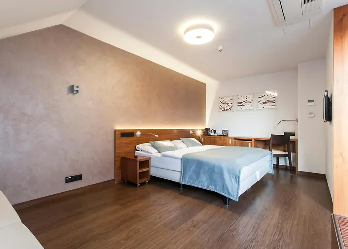 Carol Hotel 4*